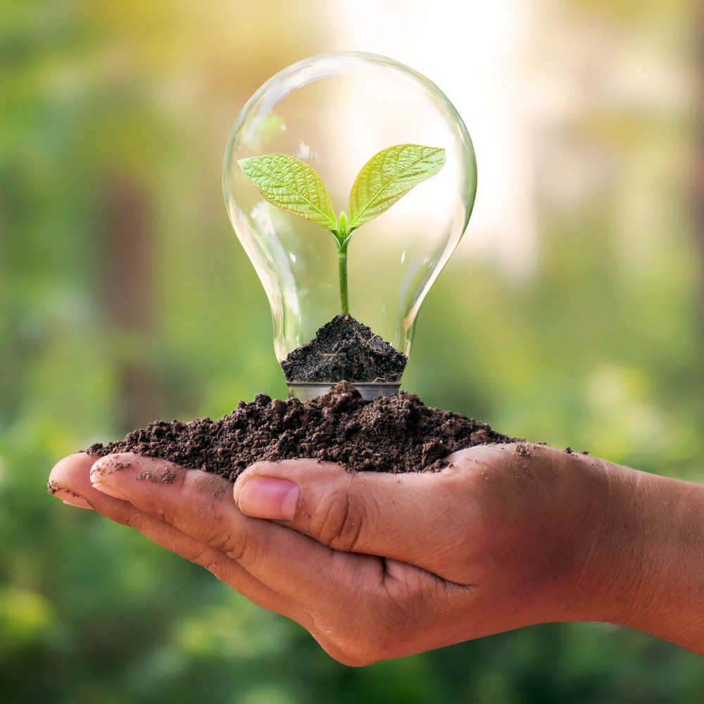 Gestão Ambiental e SGI